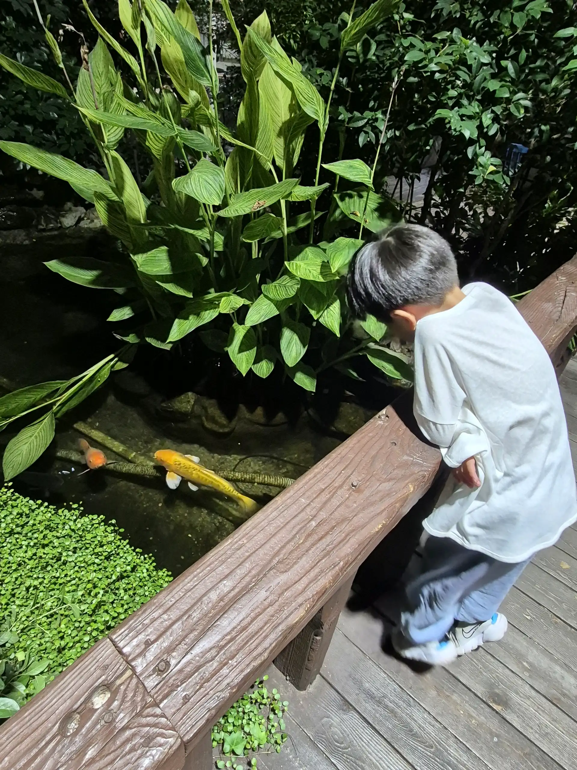 크루톡 이미지