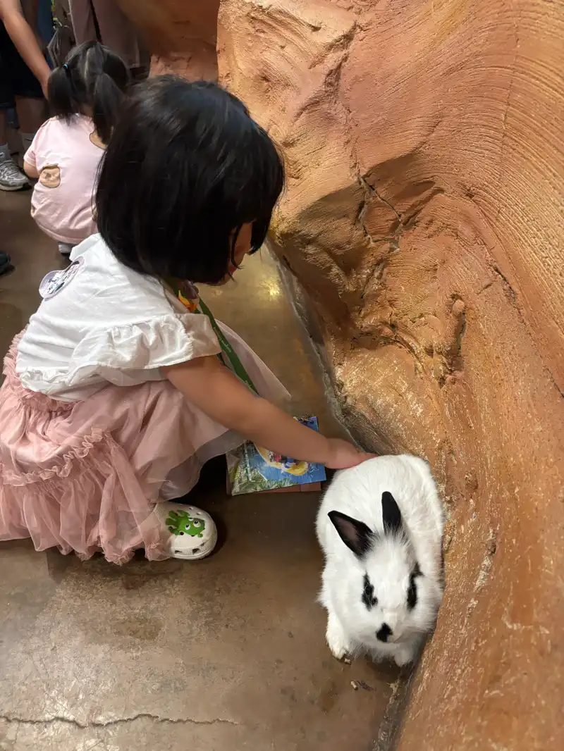 크루톡 이미지