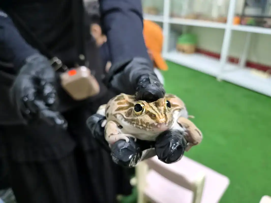 크루톡 이미지