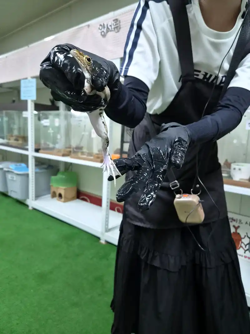크루톡 이미지