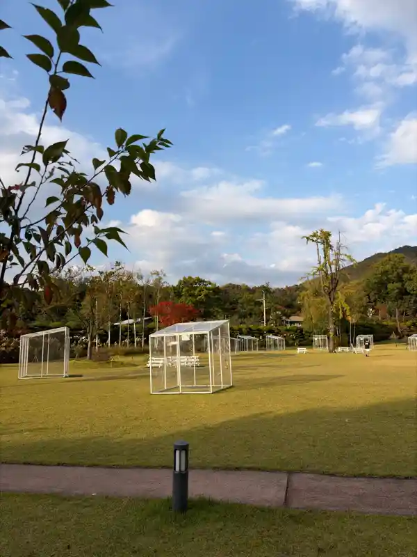 크루톡 이미지