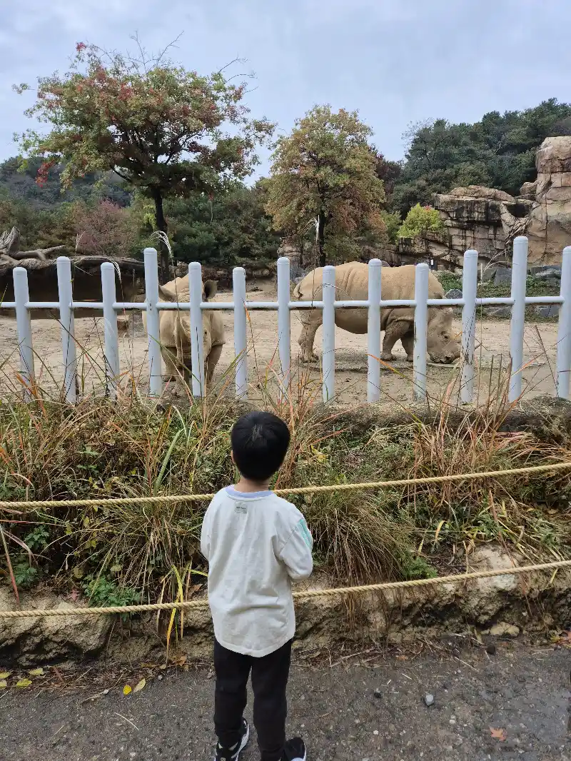 크루톡 이미지