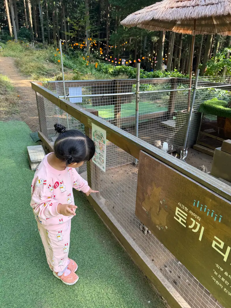 크루톡 이미지