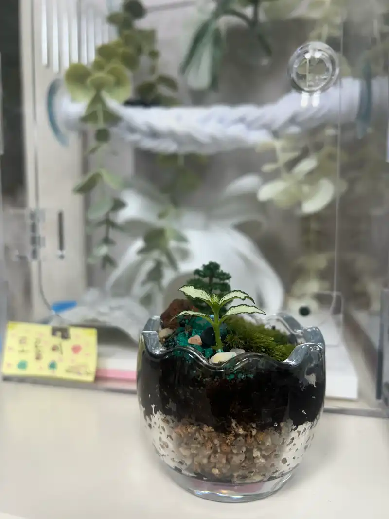 크루톡 이미지