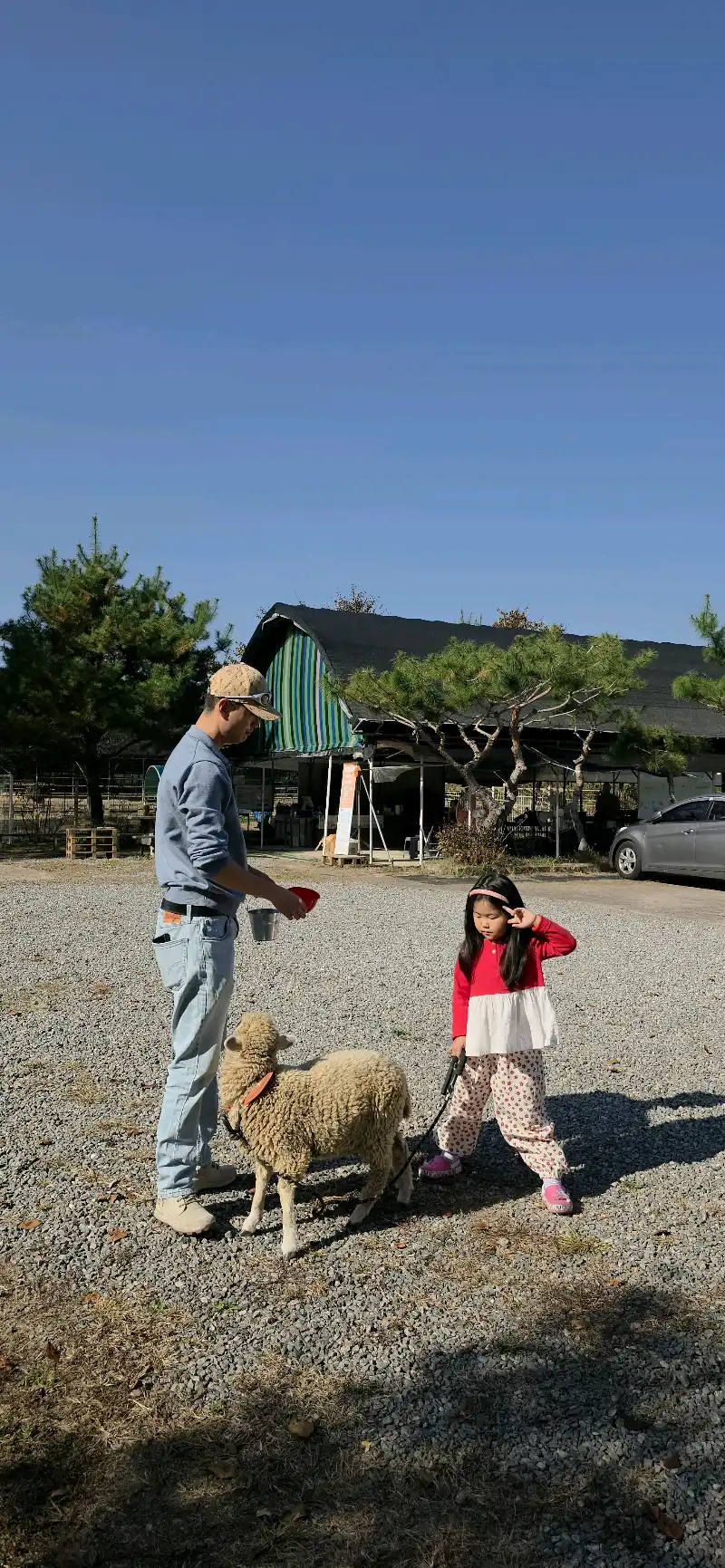 크루톡 이미지