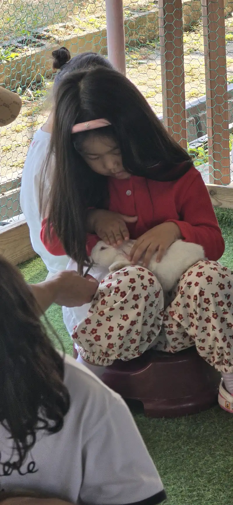 크루톡 이미지