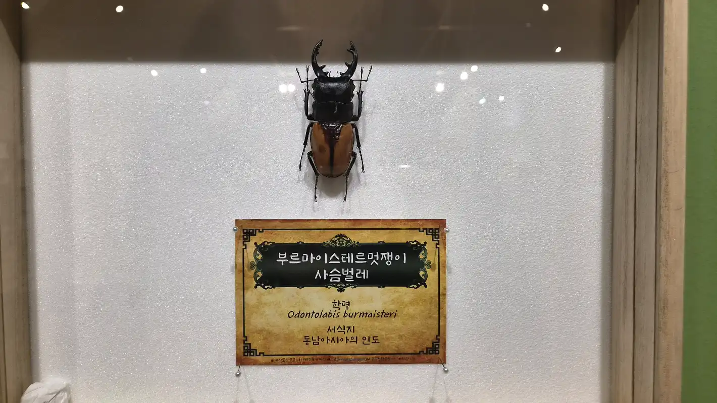 크루톡 이미지