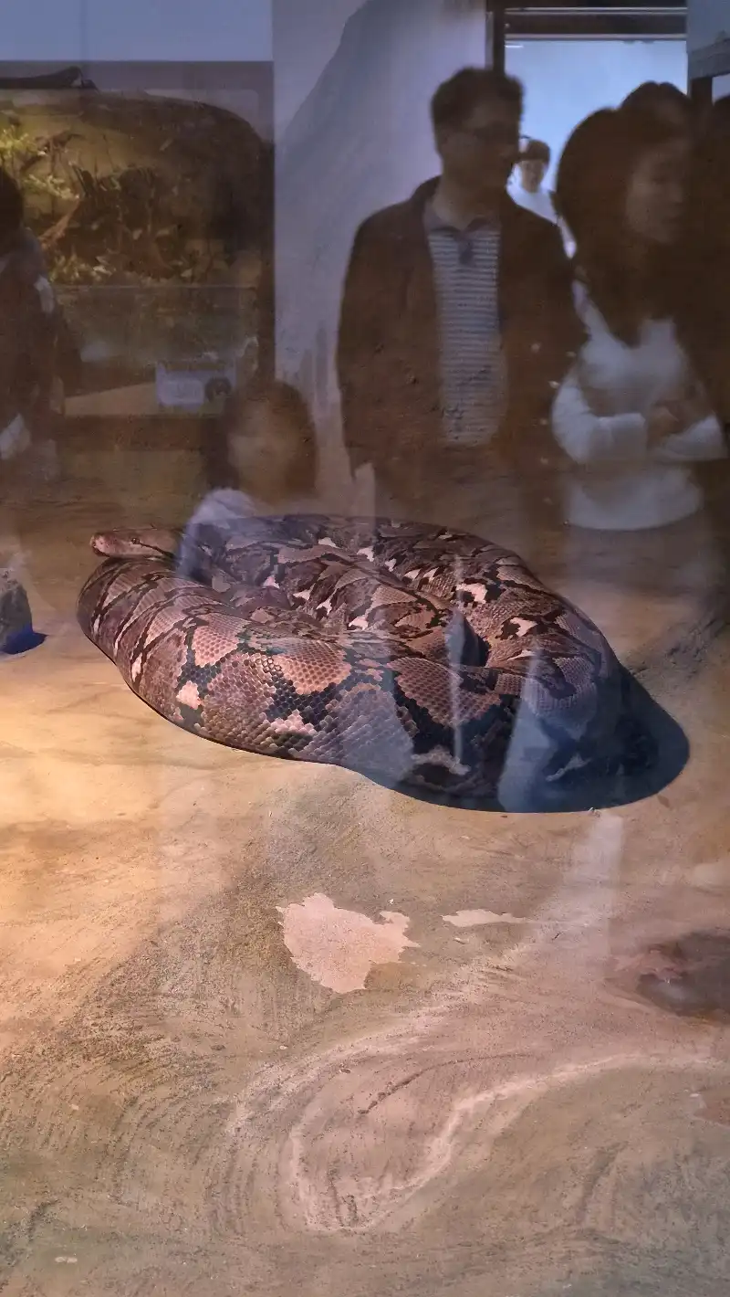 크루톡 이미지