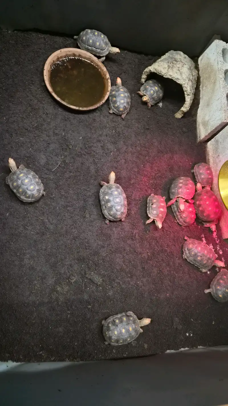 크루톡 이미지