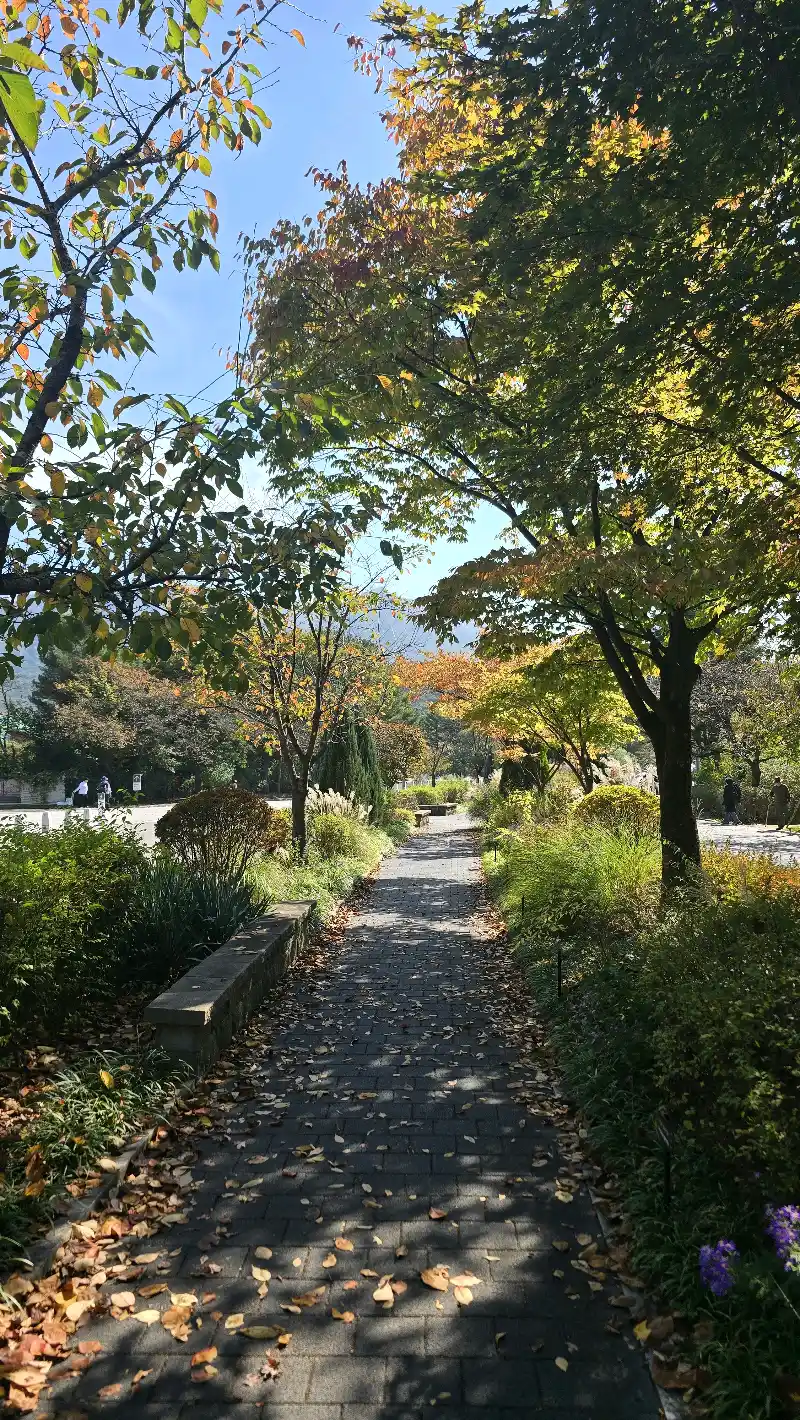 크루톡 이미지