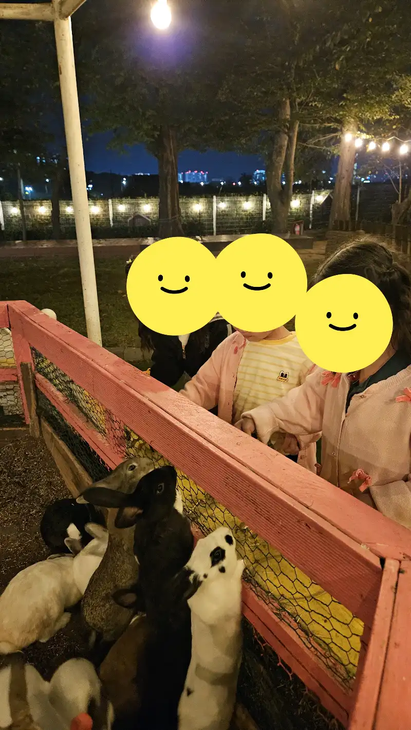 크루톡 이미지