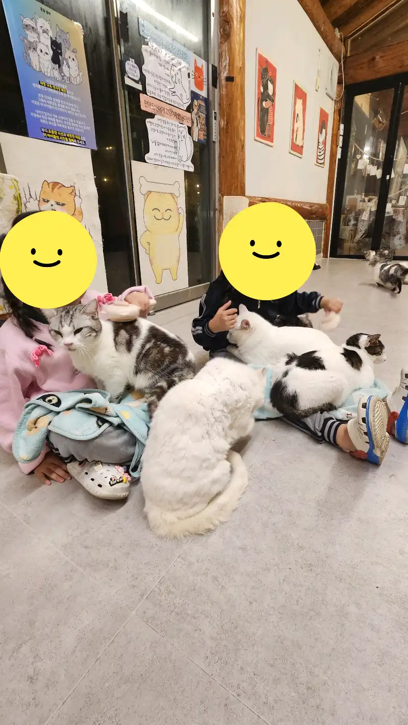 크루톡 이미지