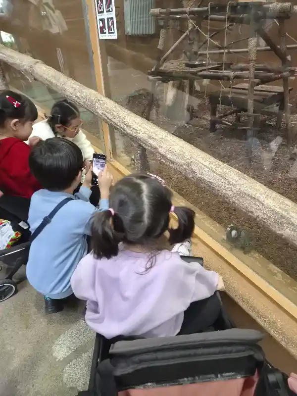 크루톡 이미지