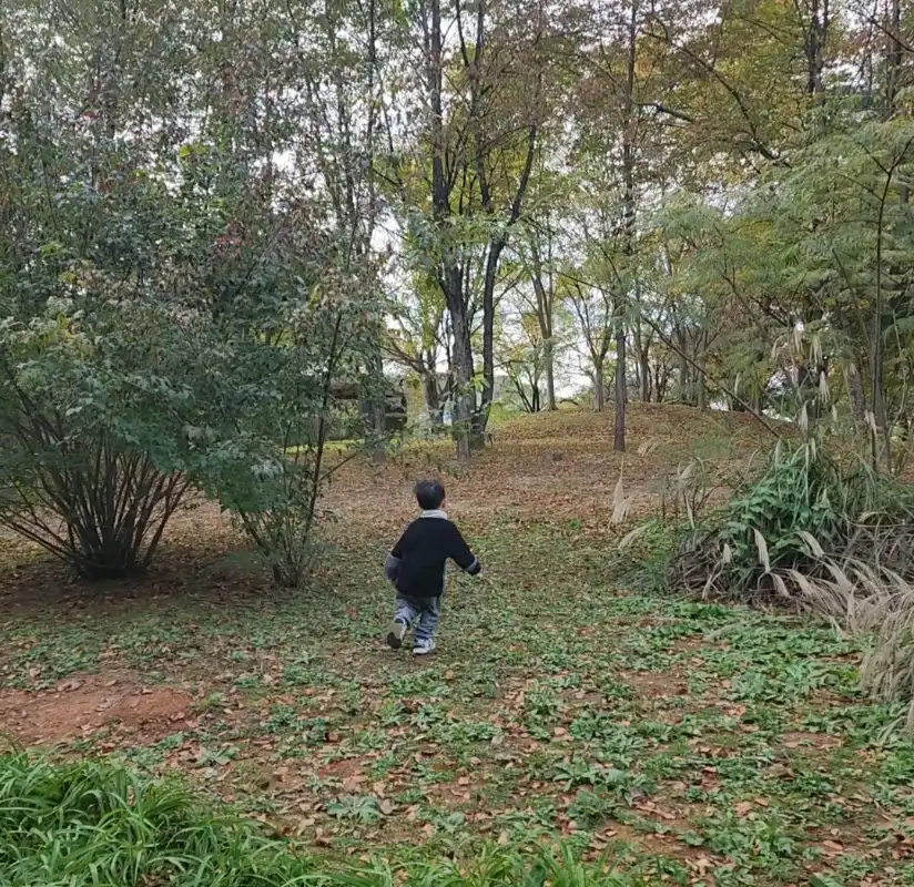 크루톡 이미지