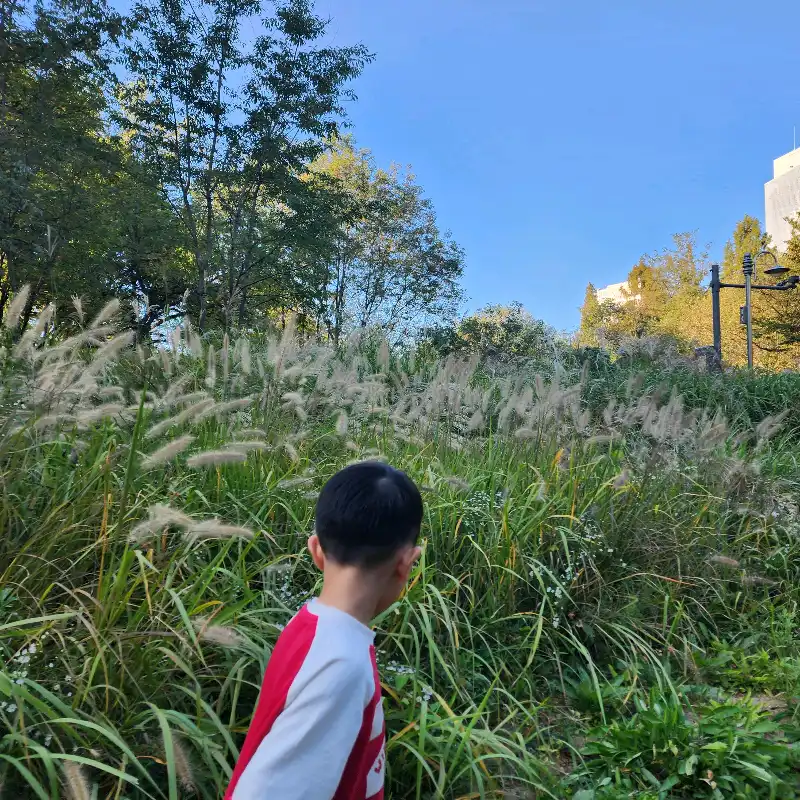 크루톡 이미지