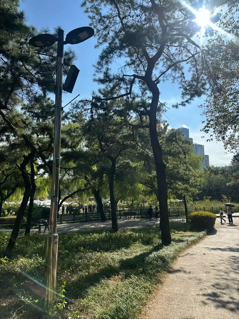 크루톡 이미지
