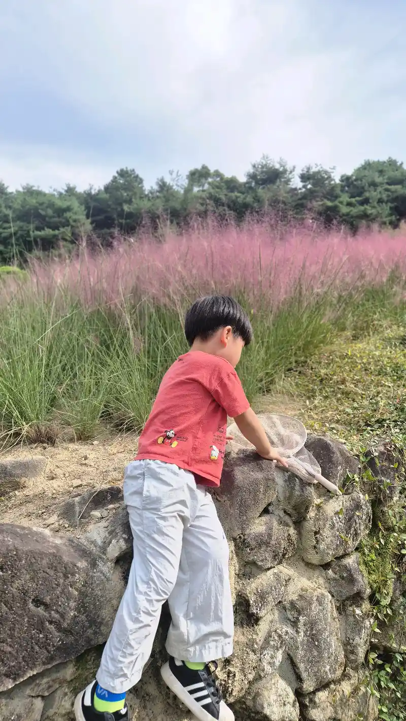 크루톡 이미지
