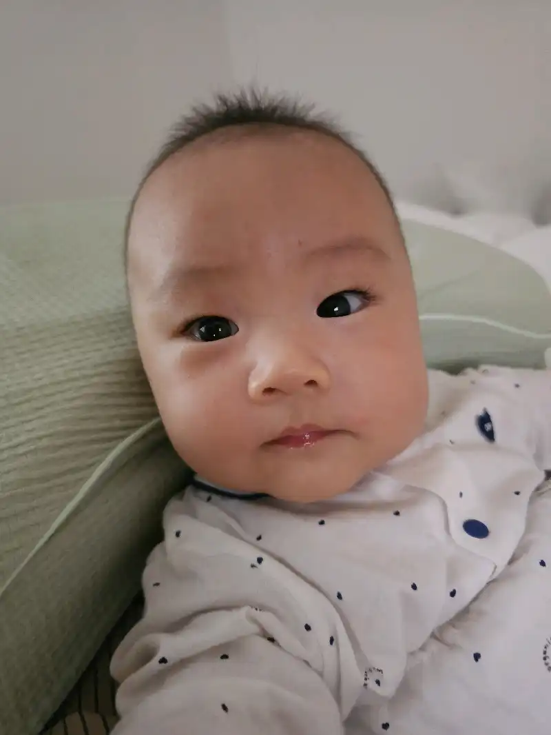 크루톡 이미지