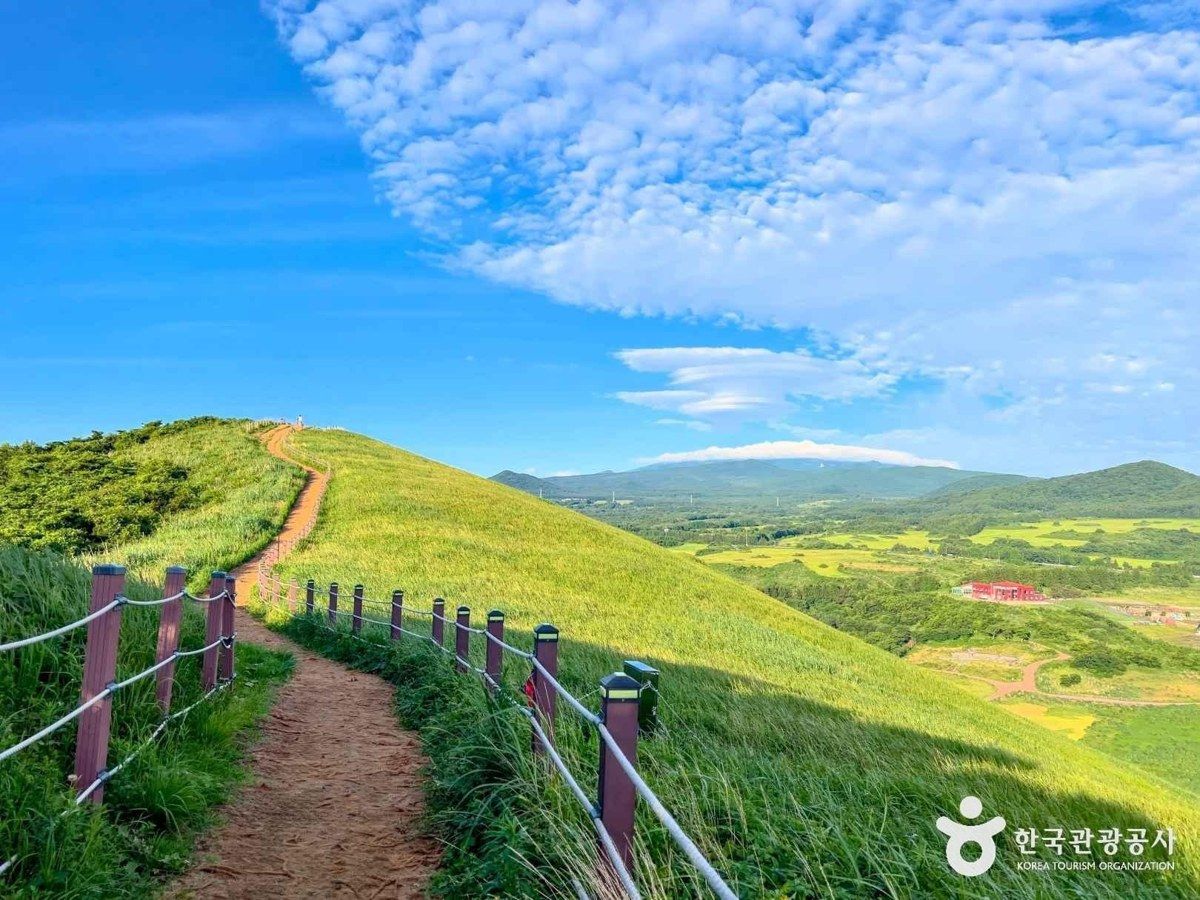 새별오름 전경