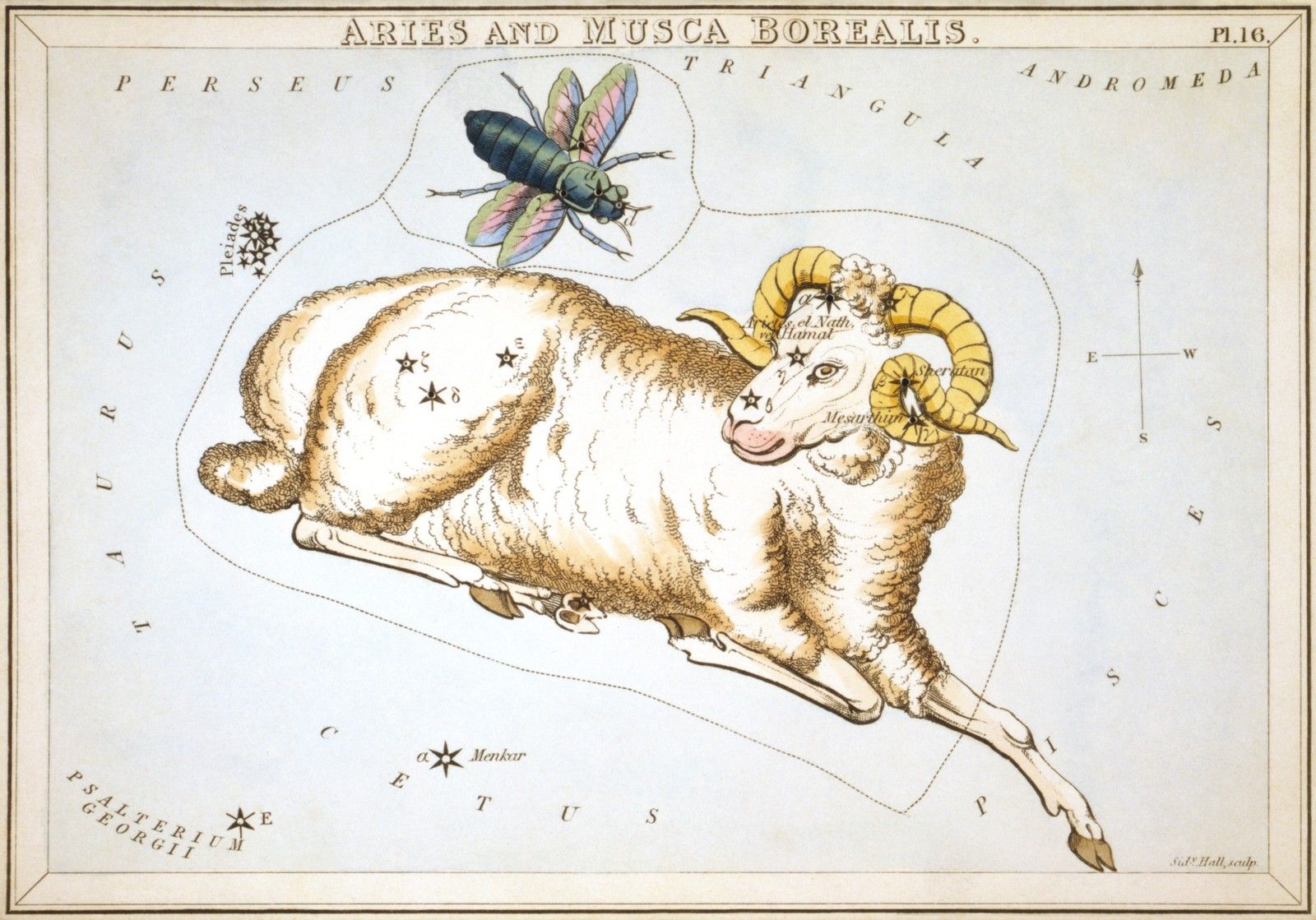 옛 별자리 그림책(1825년)에 그려진 양자리