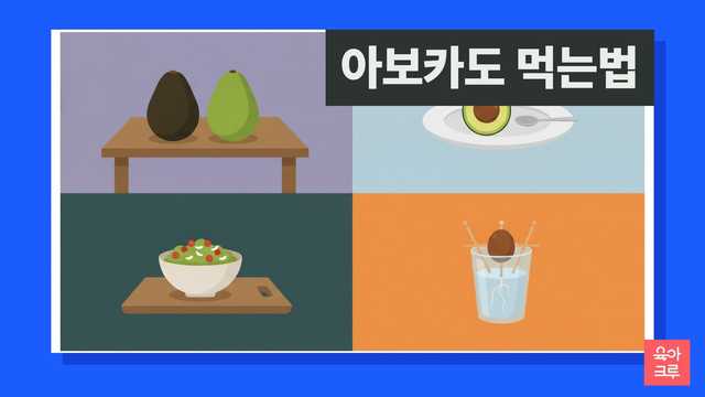 아보카도 먹는법 일러스트, 잘 익은 아보카도와 반으로 가른 아보카도, 과카몰리, 물컵에 올린 아보카도 씨앗