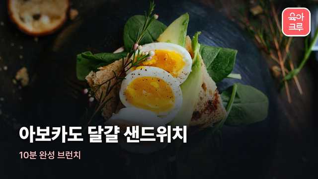 아보카도 달걀 샌드위치 커버 사진
