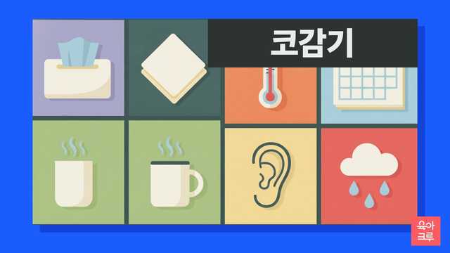코감기 증상이 이어지는 기간과 합병증 비율 안내