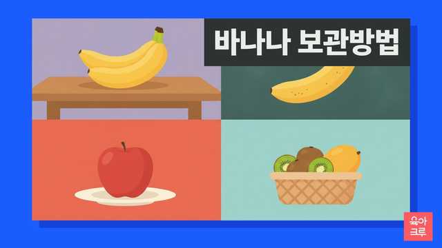 바나나 보관방법 일러스트, 노란 바나나 송이와 반점이 생긴 바나나, 따로 놓인 사과