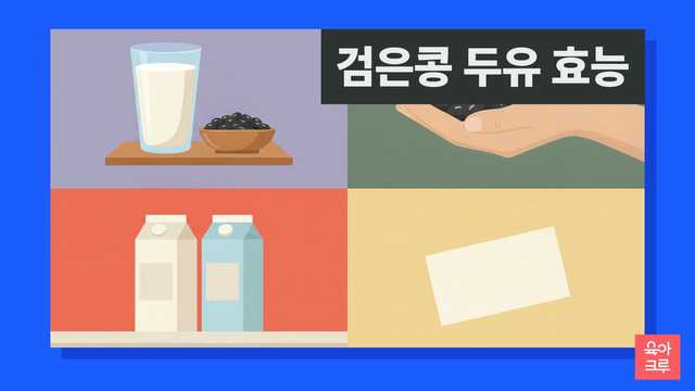 검은콩 두유 효능 안내 그림