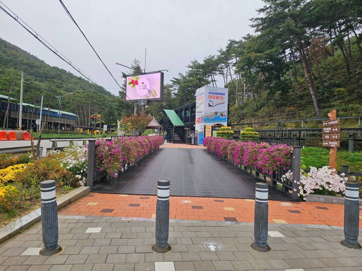 속리산테마파크모노레일 전경
