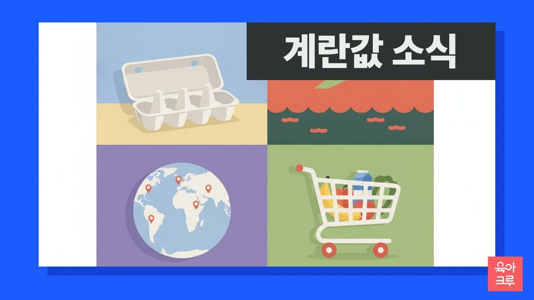 브라질산 계란 수입 일러스트