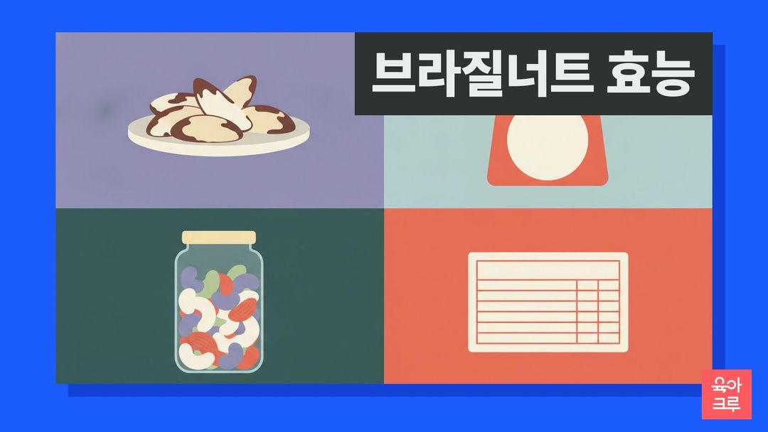 브라질너트 효능 안내 그림