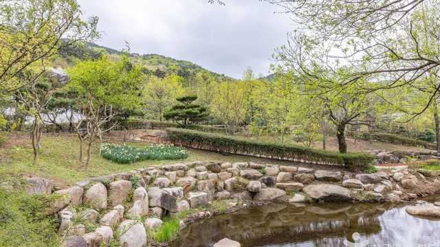 부산 수목원 화명수목원