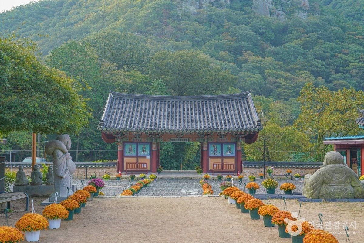 장안사 경내