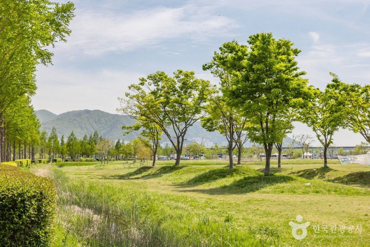 삼락생태공원 전경