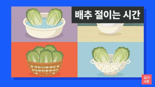 배추 절이는 시간 일러스트, 소금물에 담긴 반으로 가른 배추와 천일염