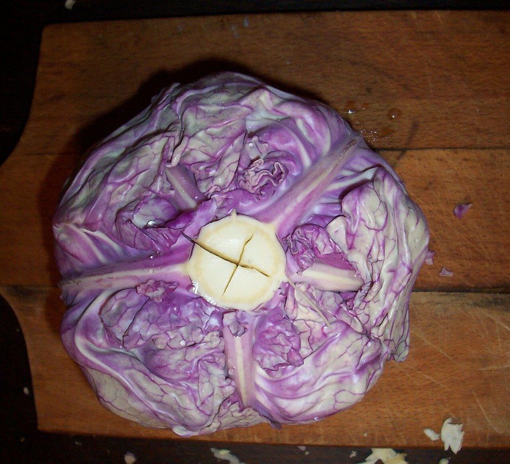 도마 위에서 심 부분에 칼집을 낸 적양배추
