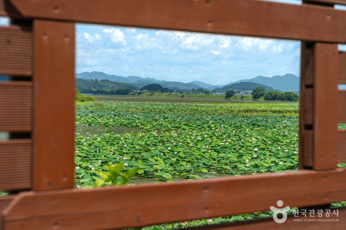 주남저수지 철새도래지 전경
