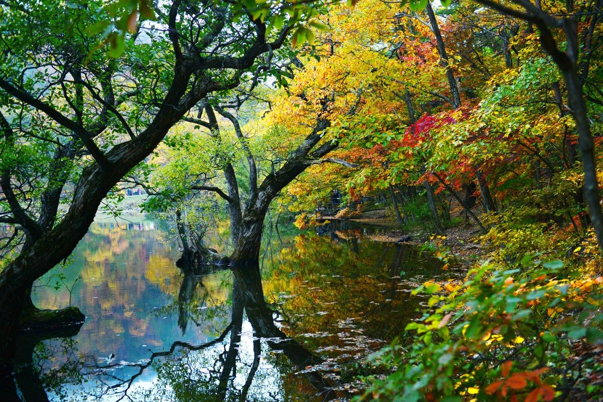 주산지 전경