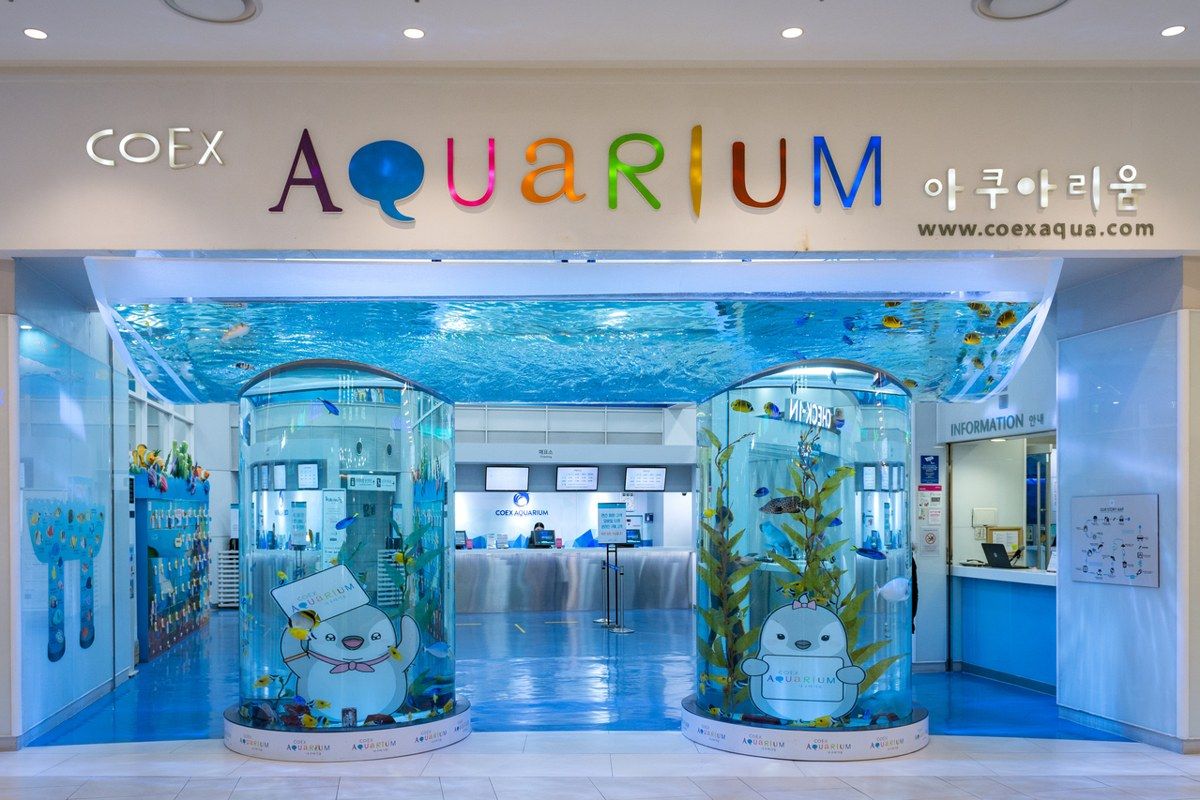 코엑스 아쿠아리움 전경