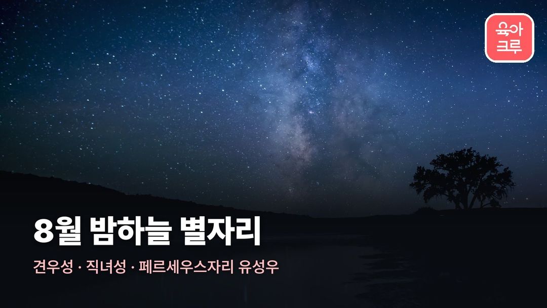 8월 별자리 커버 사진
