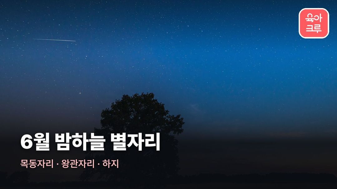 6월 별자리 커버 사진
