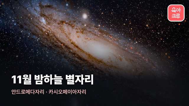11월 별자리 커버 사진