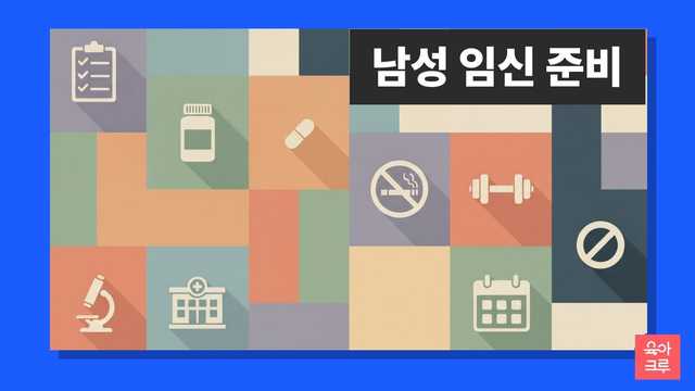 남성 임신 준비 안내 일러스트