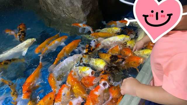 대구아쿠아리움에서 물고기를 보는 아이