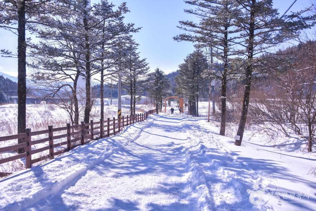 선자령 전경