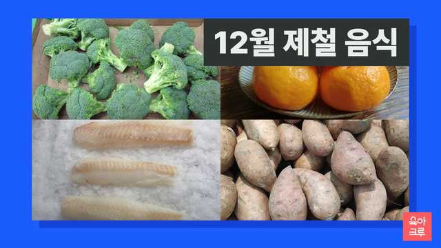 12월 제철 음식 일러스트
