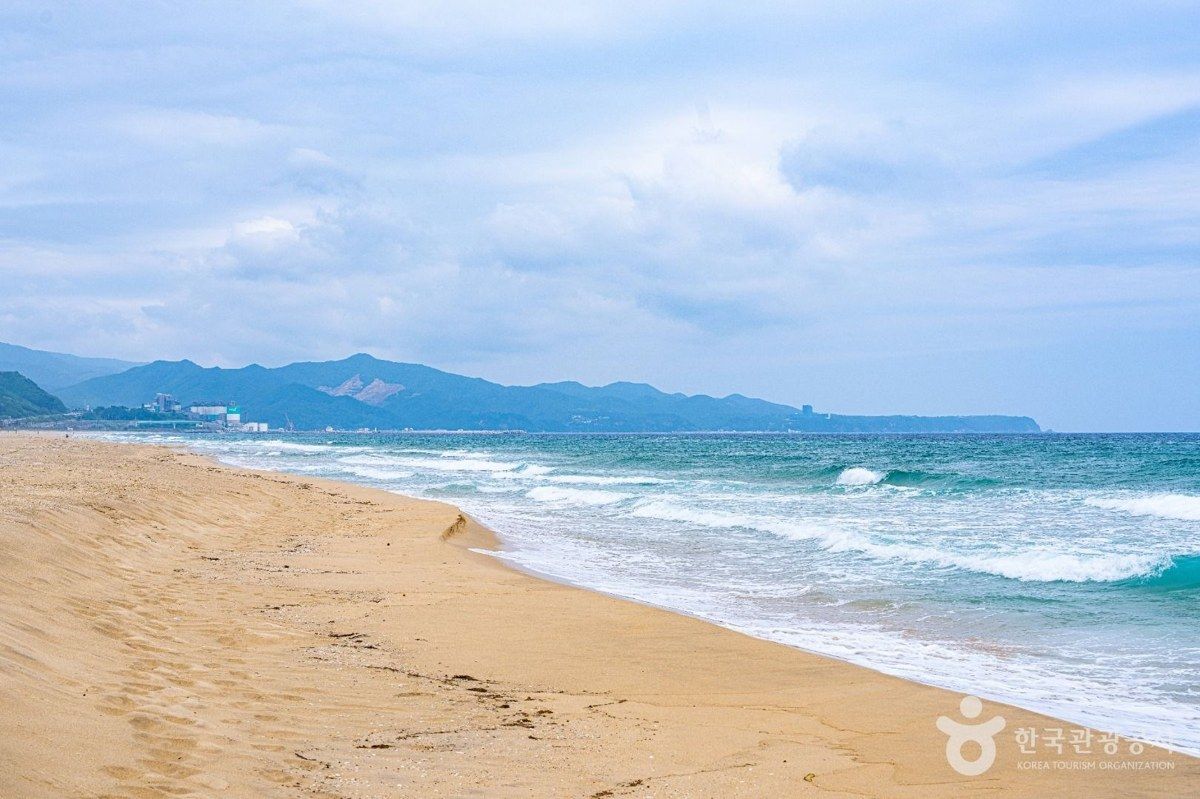 망상해변 전경