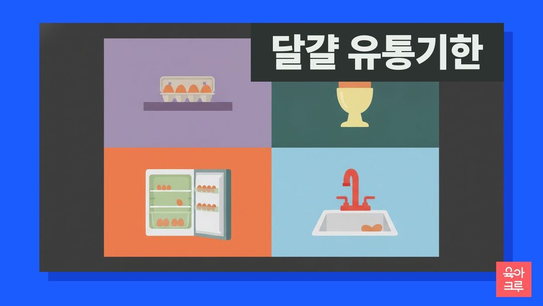 달걀 유통기한 일러스트