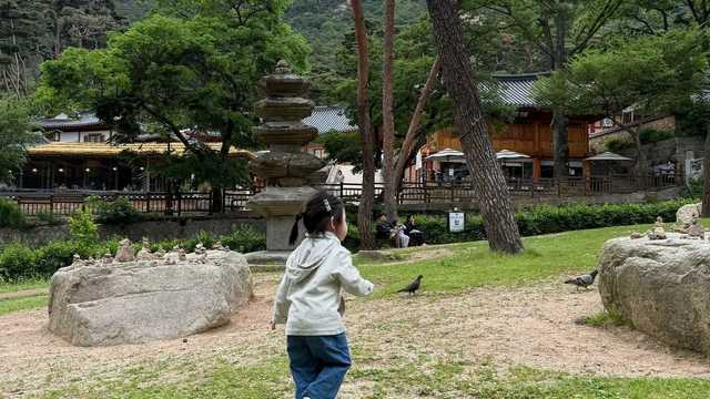 진관사 산책로에서 뛰노는 아이